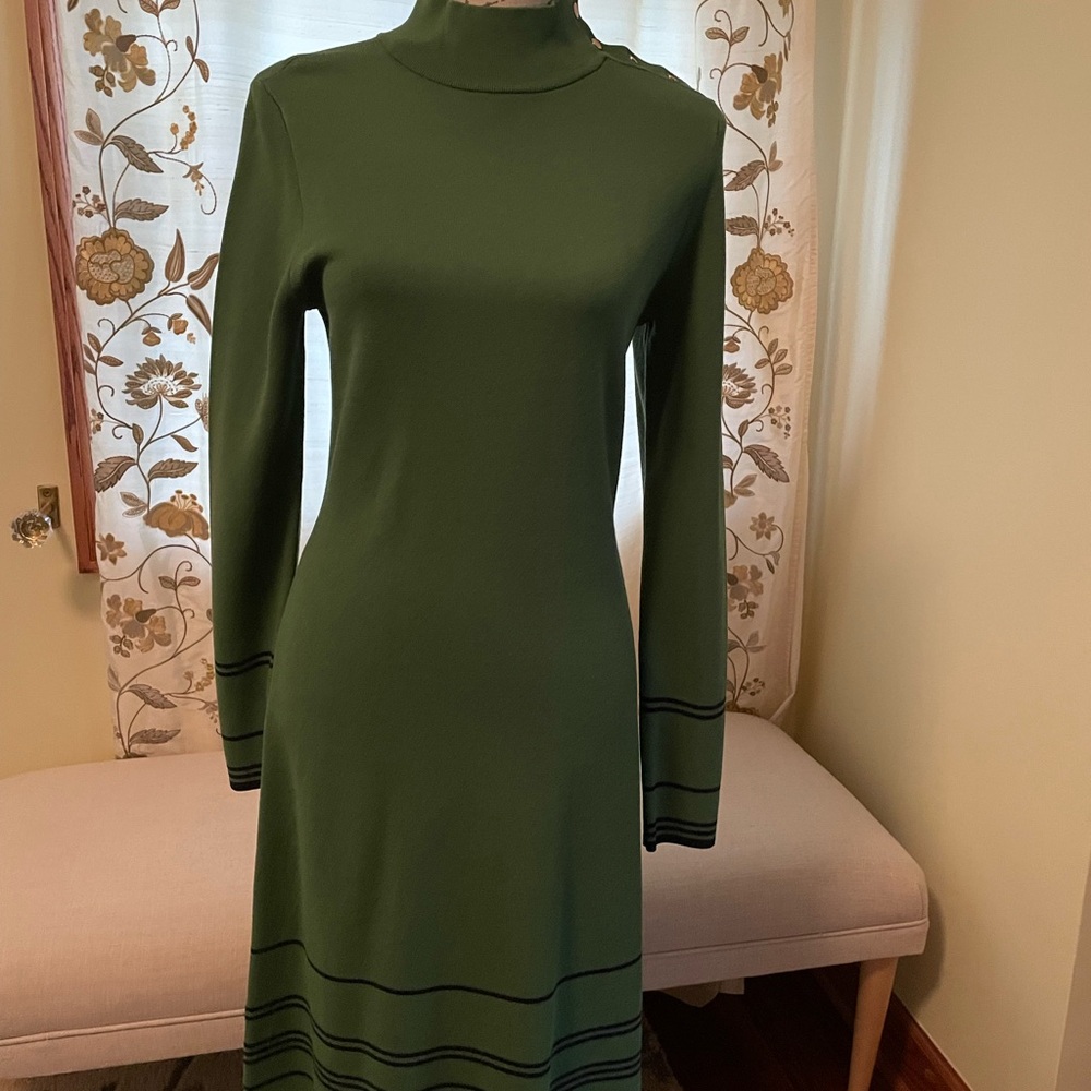 Elegant Green Ann Taylor Mock Turtleneck Sweater Dress